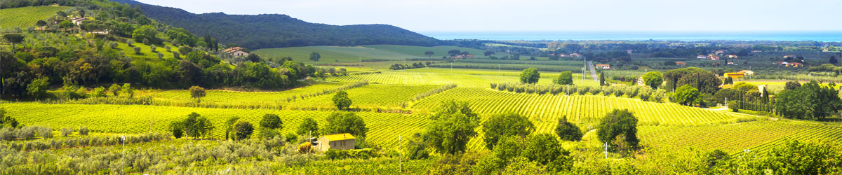 Tuscany Leather Tuscan overview